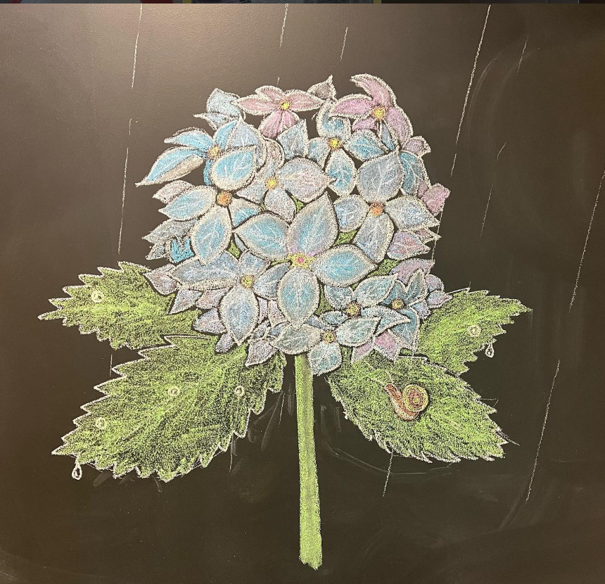 Hydrangea Season